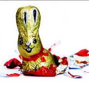 Chocolate Bunny with Foil