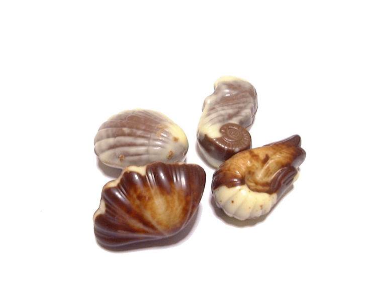 Chocolate Shells